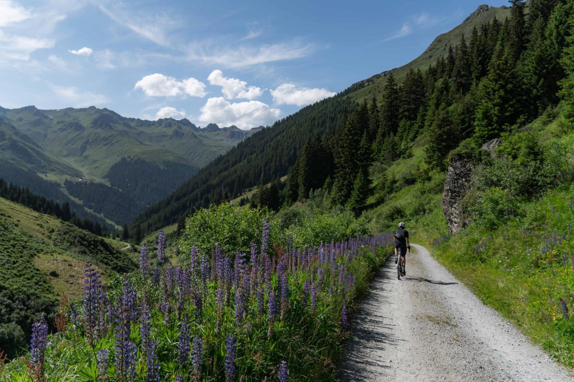 Heimspitze - Alpenhotel & Wirtshaus Gargellen Bagian luar foto
